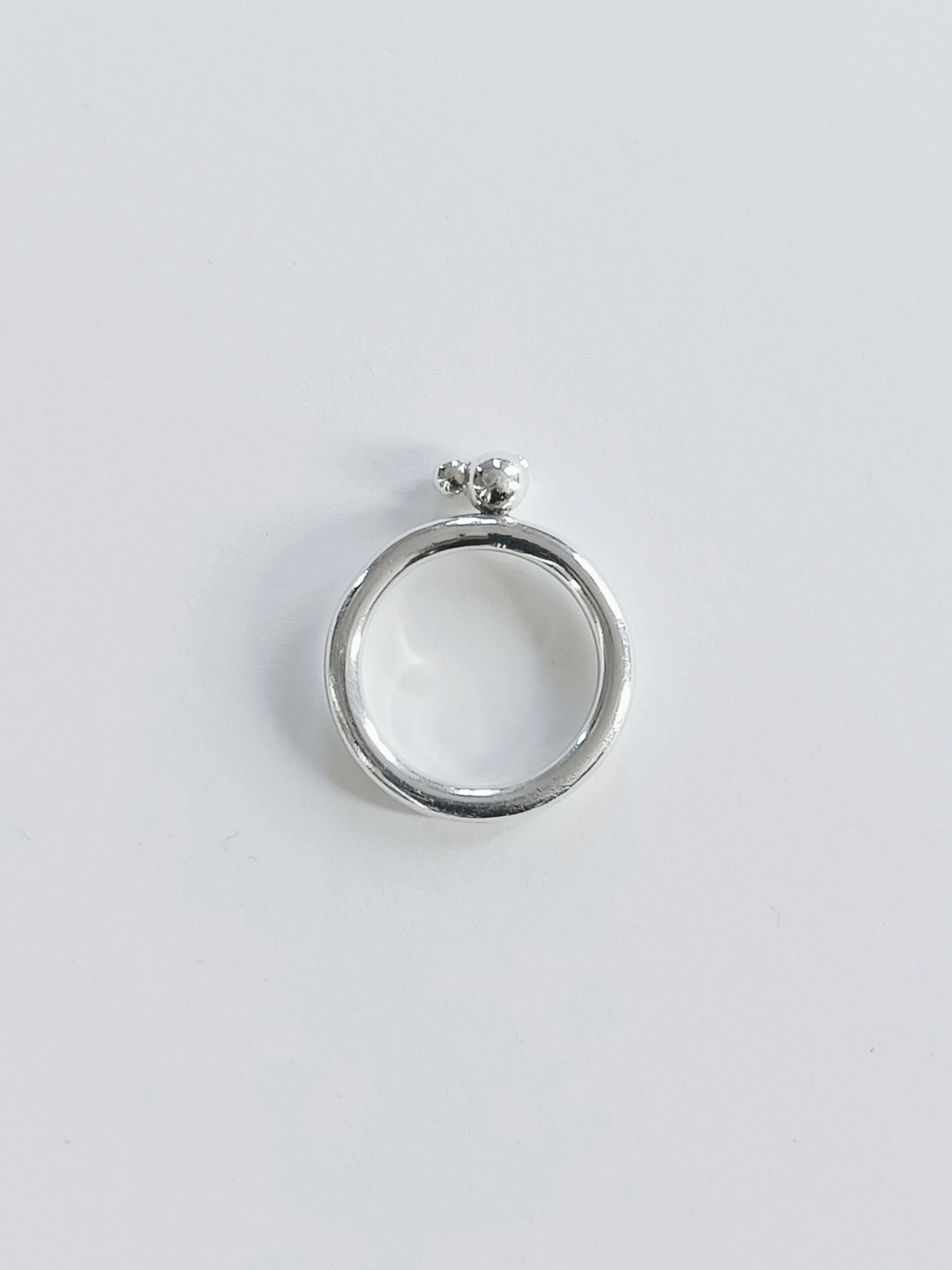 IMG20240819130903White_background.jpg