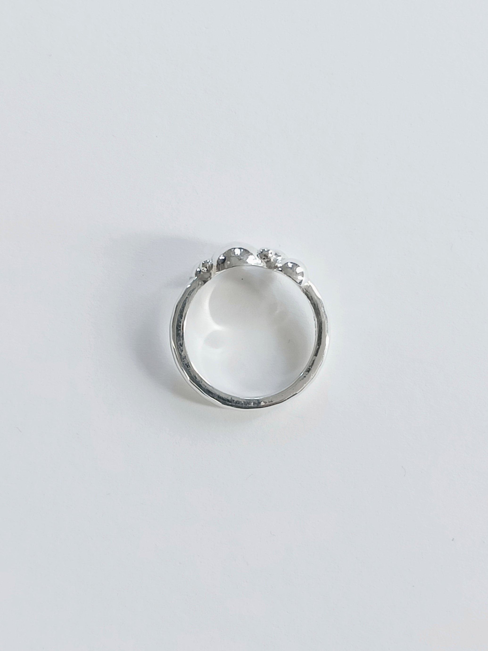 IMG20240819130936White_background.jpg