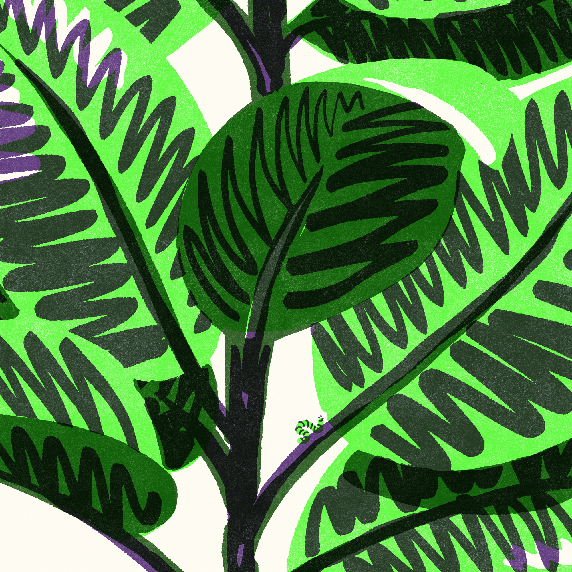OPK_SHOP_Ficus_Detail1_2000px.png