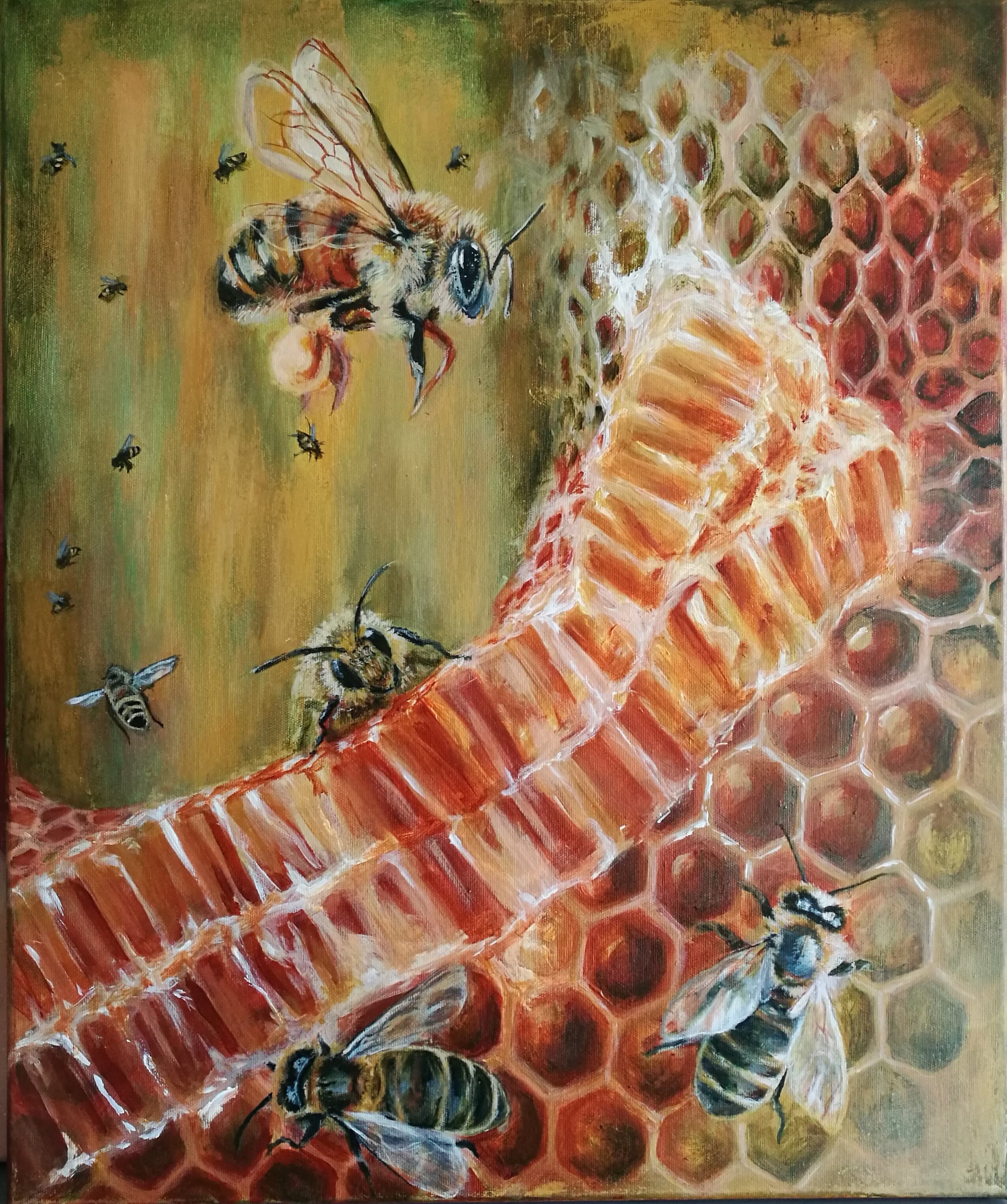 Včelky, 50x60cm, akryl na plátně, 2023