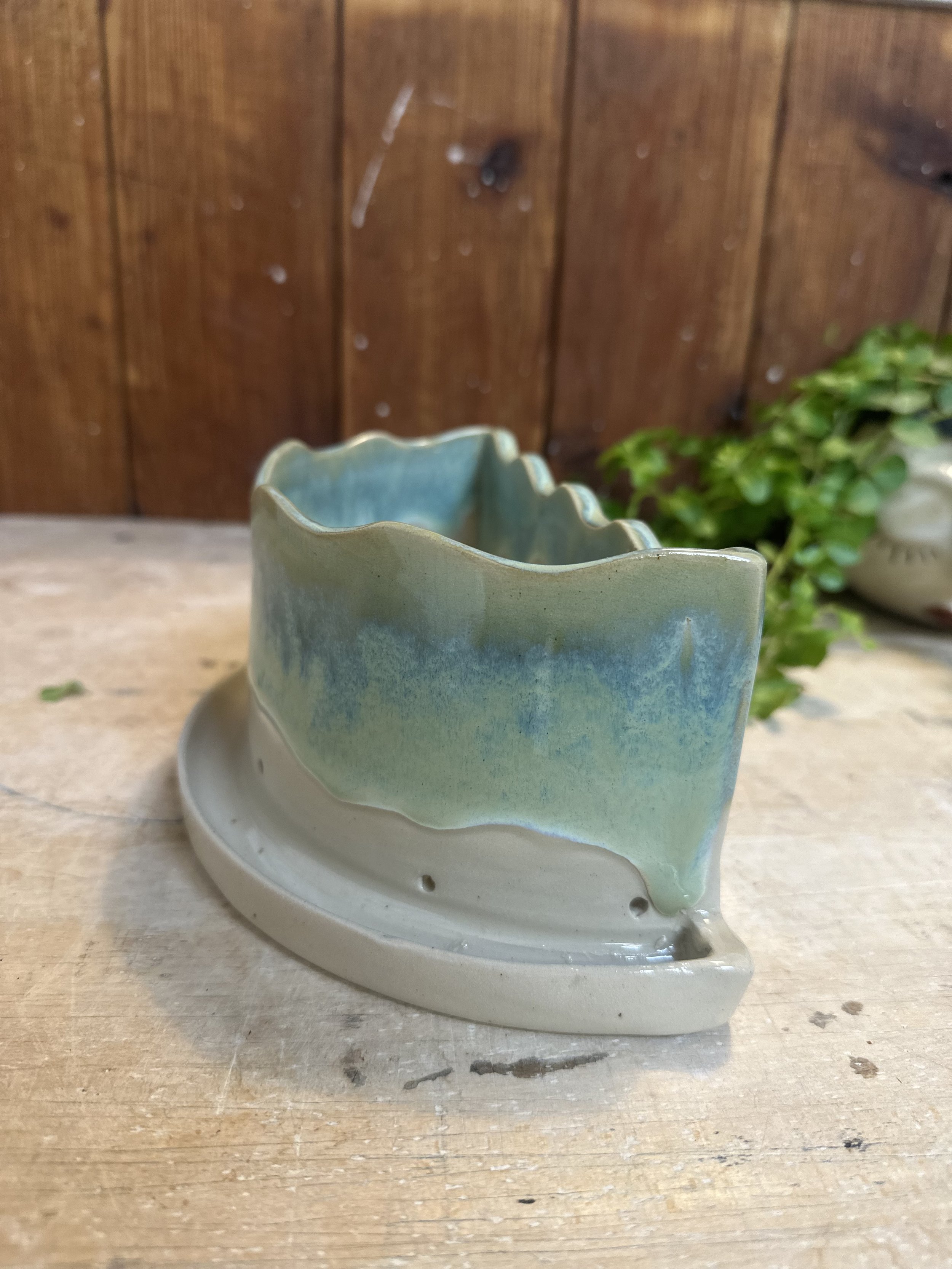 IMG_1684.jpeg