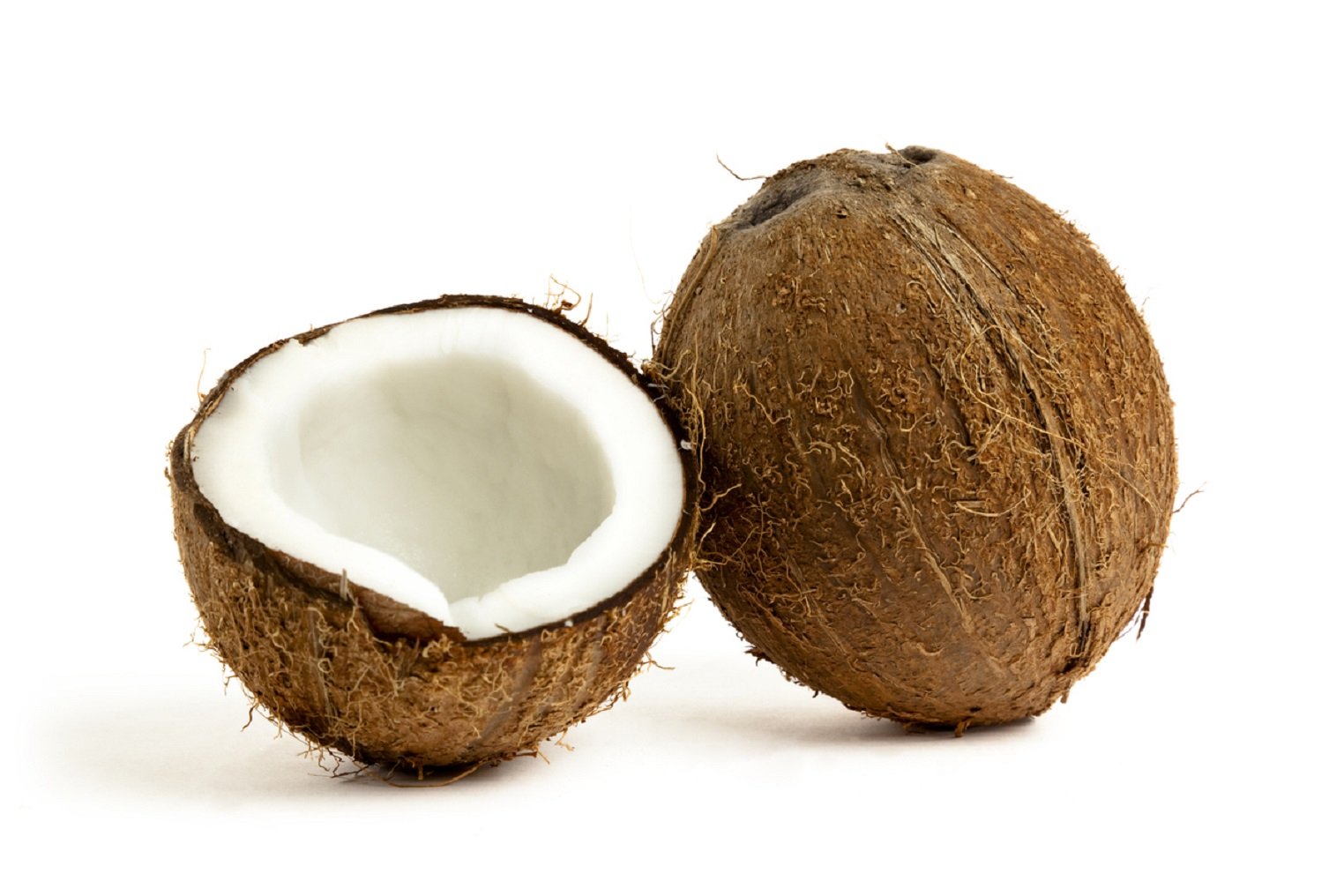 Coconut (Copy)