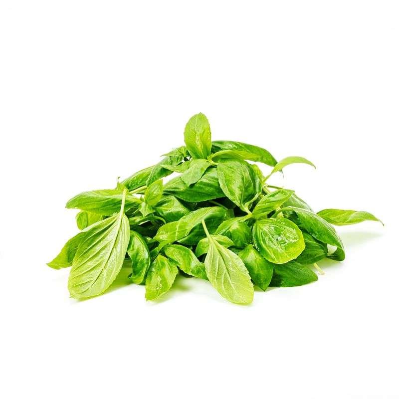 Basil