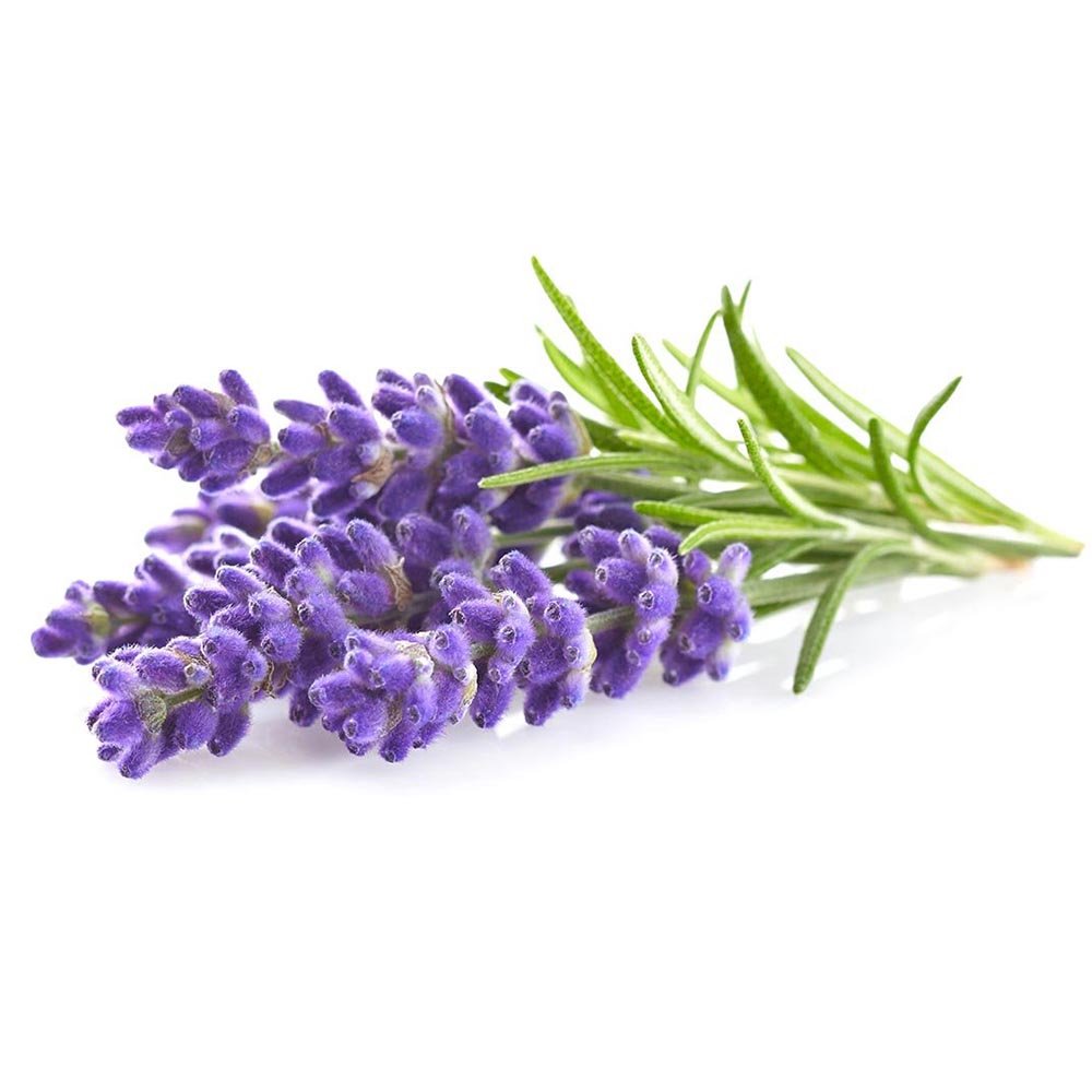 Lavender Essential Oil (Copy)