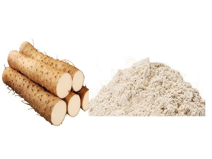 Wild Yam and Soya Extract