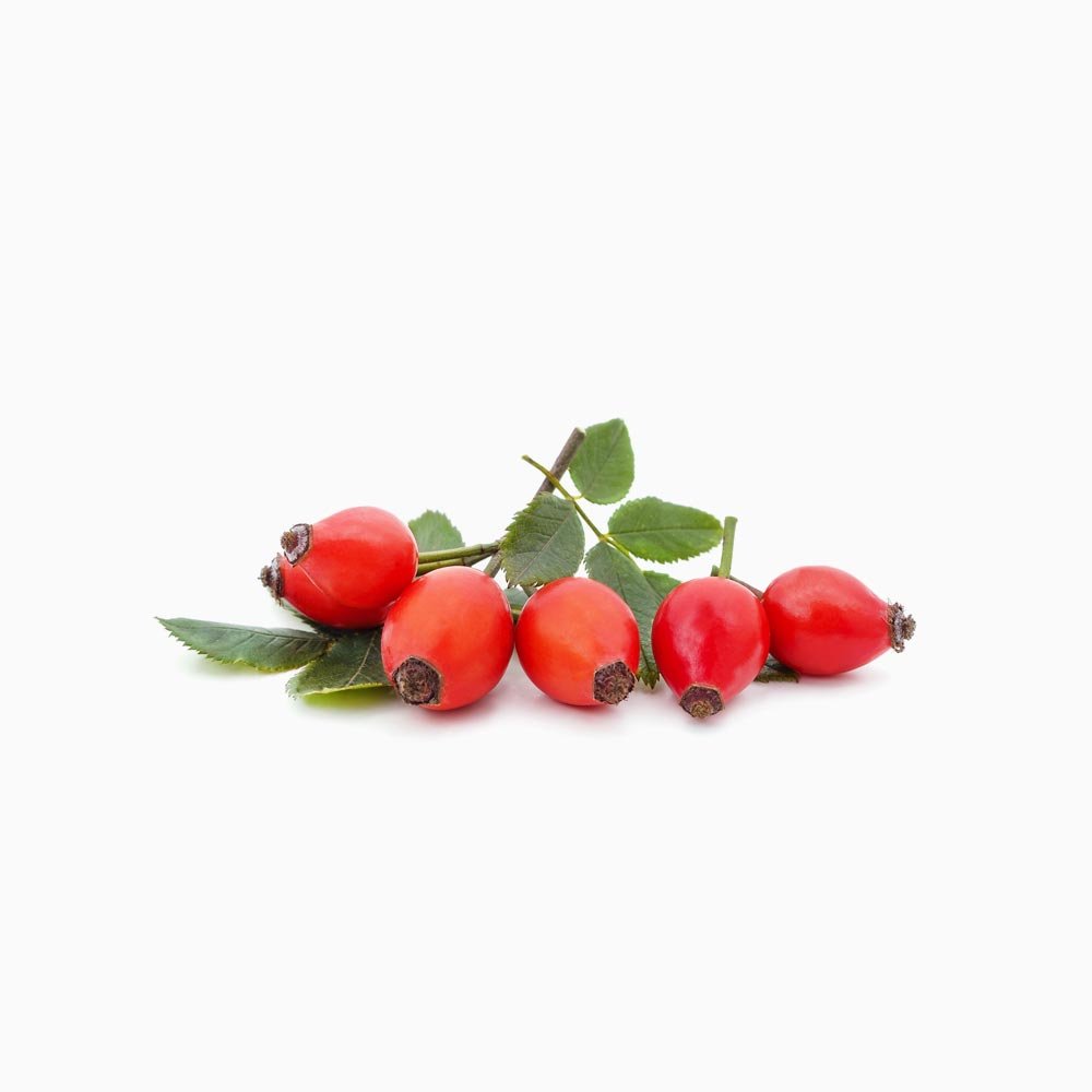 Rosehip Seed Oil (Copy) (Copy)