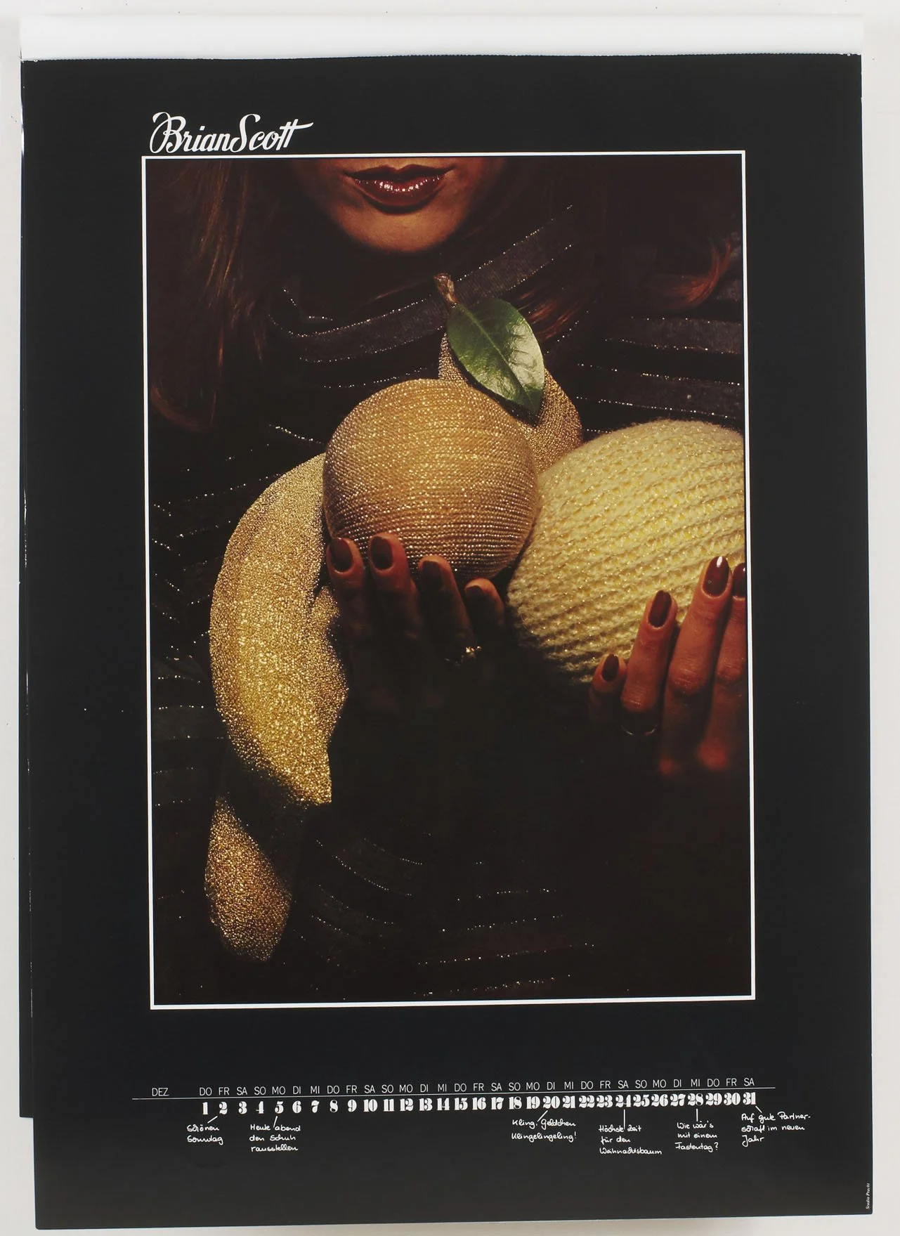 003_BrianScott_DieAlternative_Kalender_H:W_006_PA.jpg