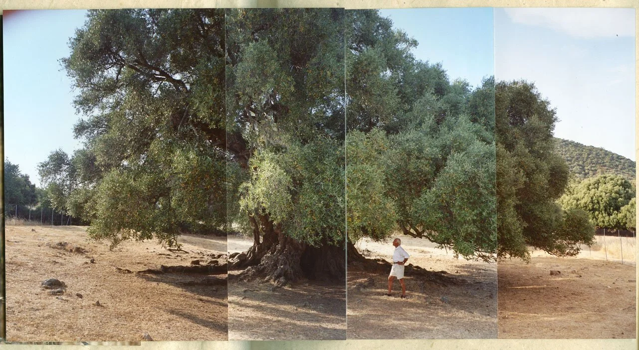 001_LANDSCHAFT_IL NIDO_030_PA.jpg