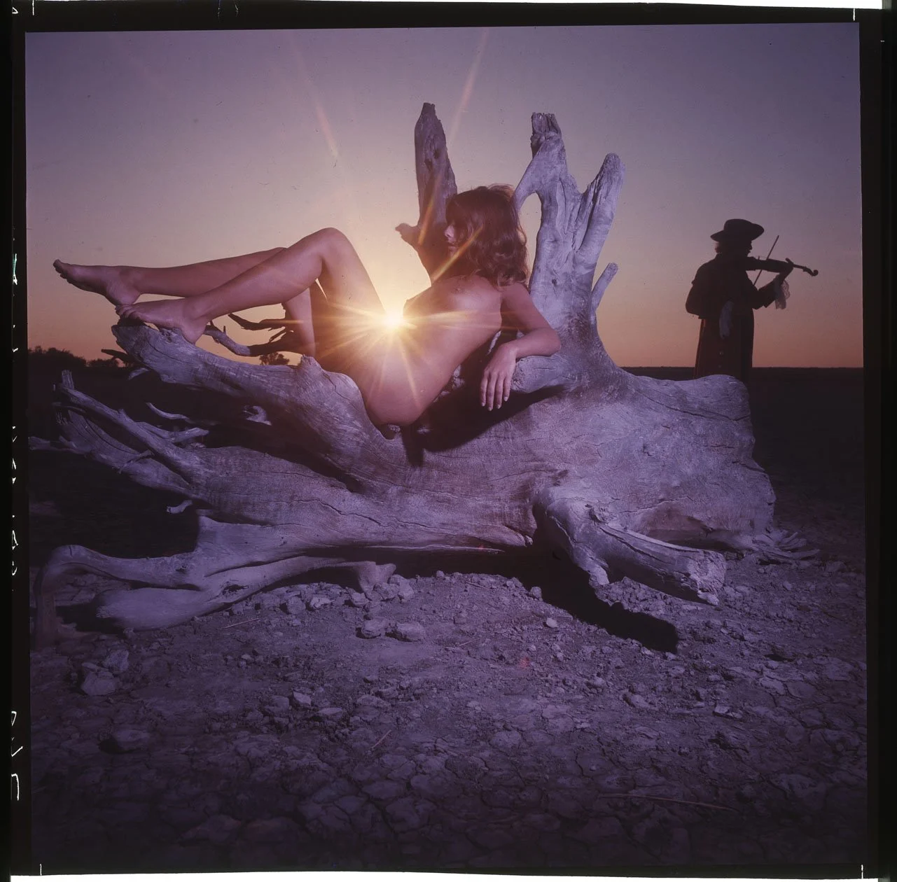 VON_11._005_11.LANDSCAPE EDITORIAL _003_PA.jpg