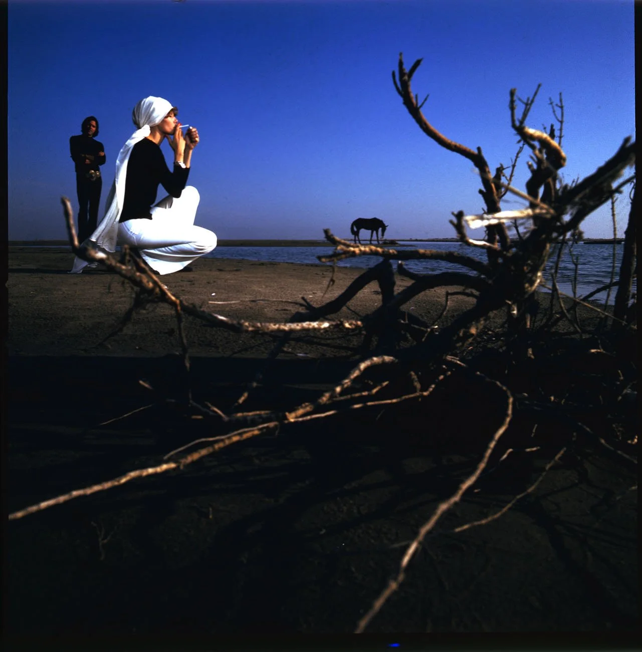 003_11.LANDSCAPE EDITORIAL _001 _PA.jpg