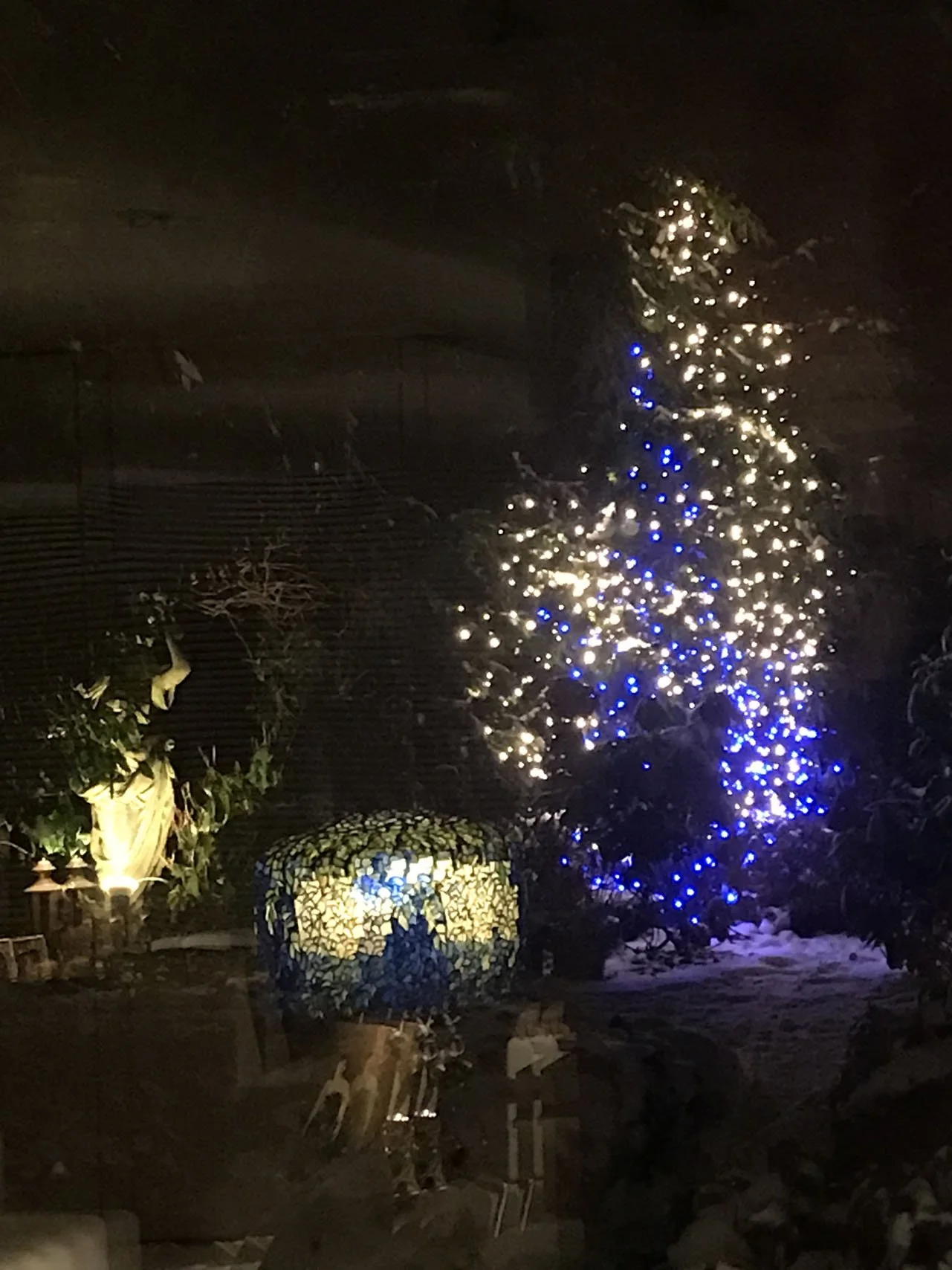 IMG_5869.jpeg_PA.jpg