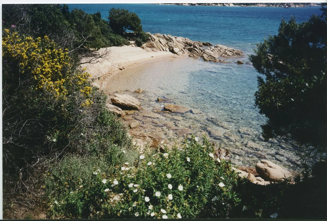 001_LANDSCHAFT_IL NIDO_022_PA.jpg