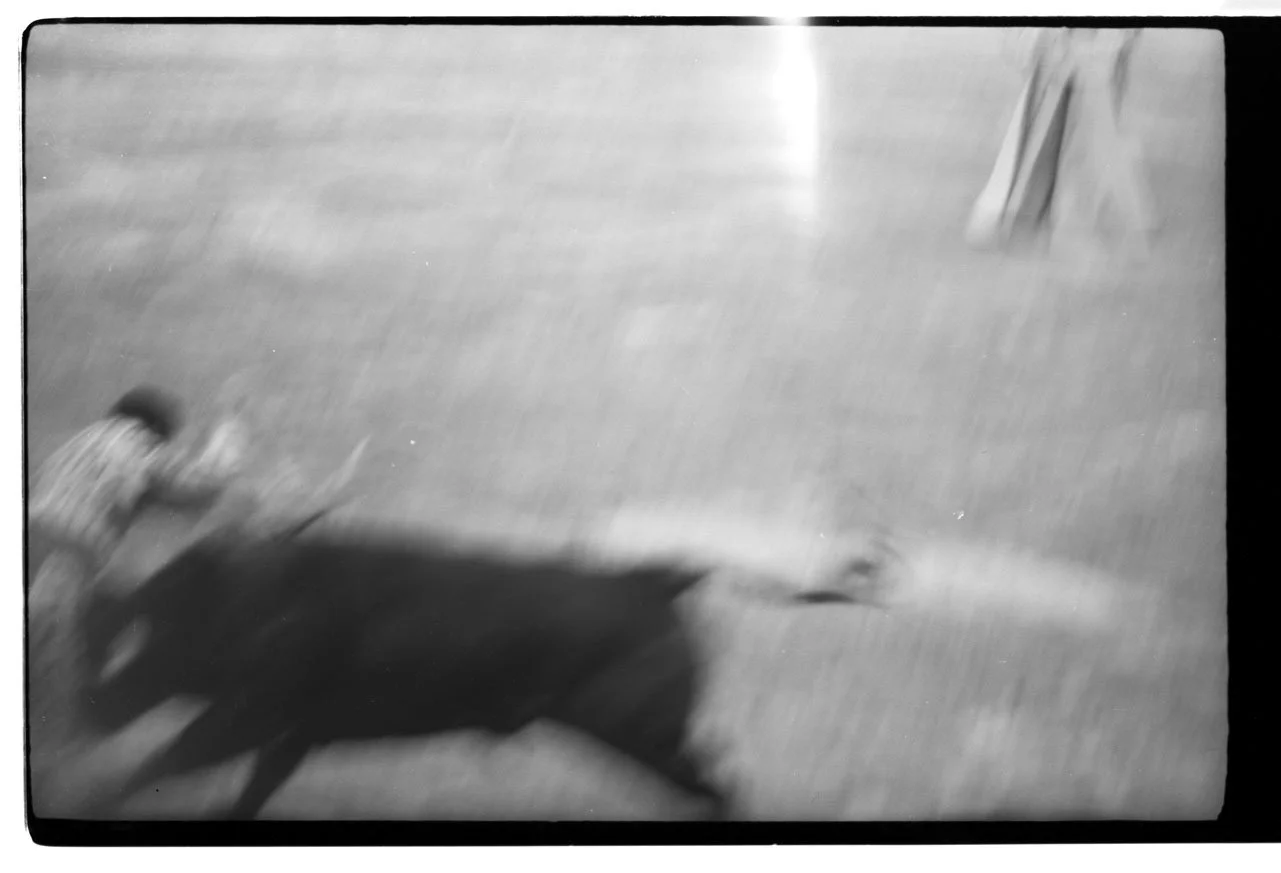 036_1.VITA BIOGRAPHY AUSZEICHNUNGEN PUBLIKATIONEN STUDIUM_FRÜHWERKE STUDIUM_STUDIEN AUFENTHALT SPANIEN_001.tif NEGATIV_PA.jpg