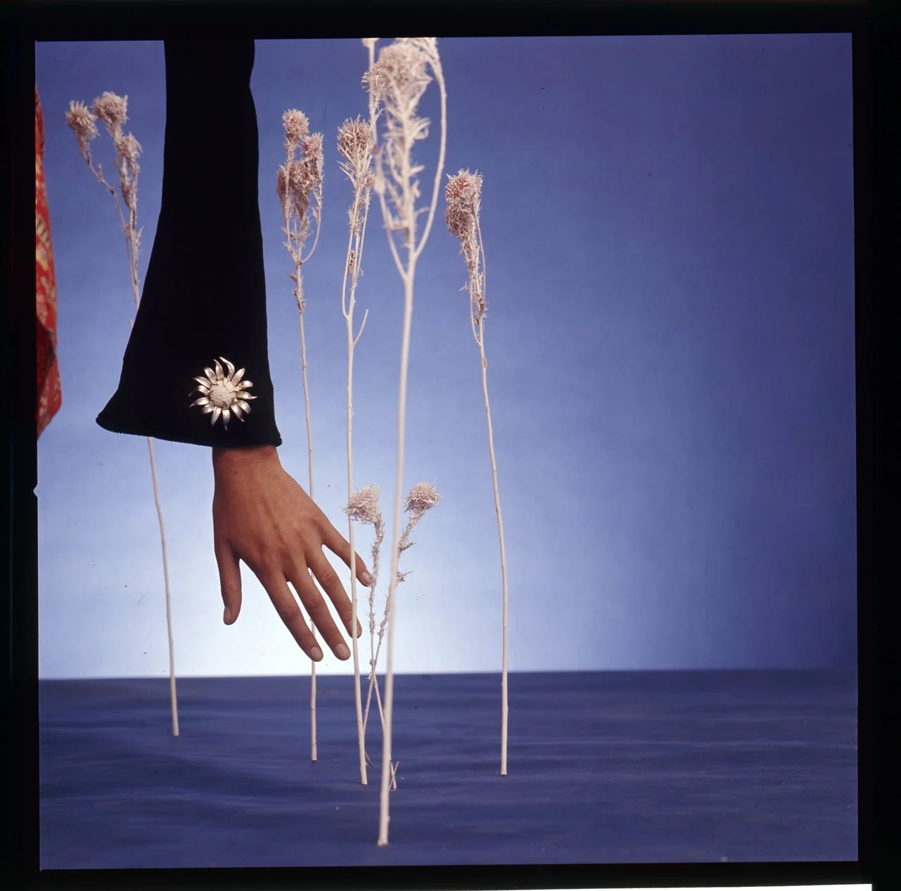 006_26.DIOR JEWELRY_BEAUTY_COSMETICS_DIOR_001_PA.jpg