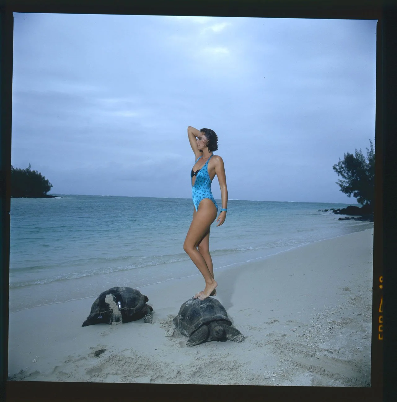 017_32. BODY_LOOK + LINGERIE_ALBA 1985_002_PA.jpg