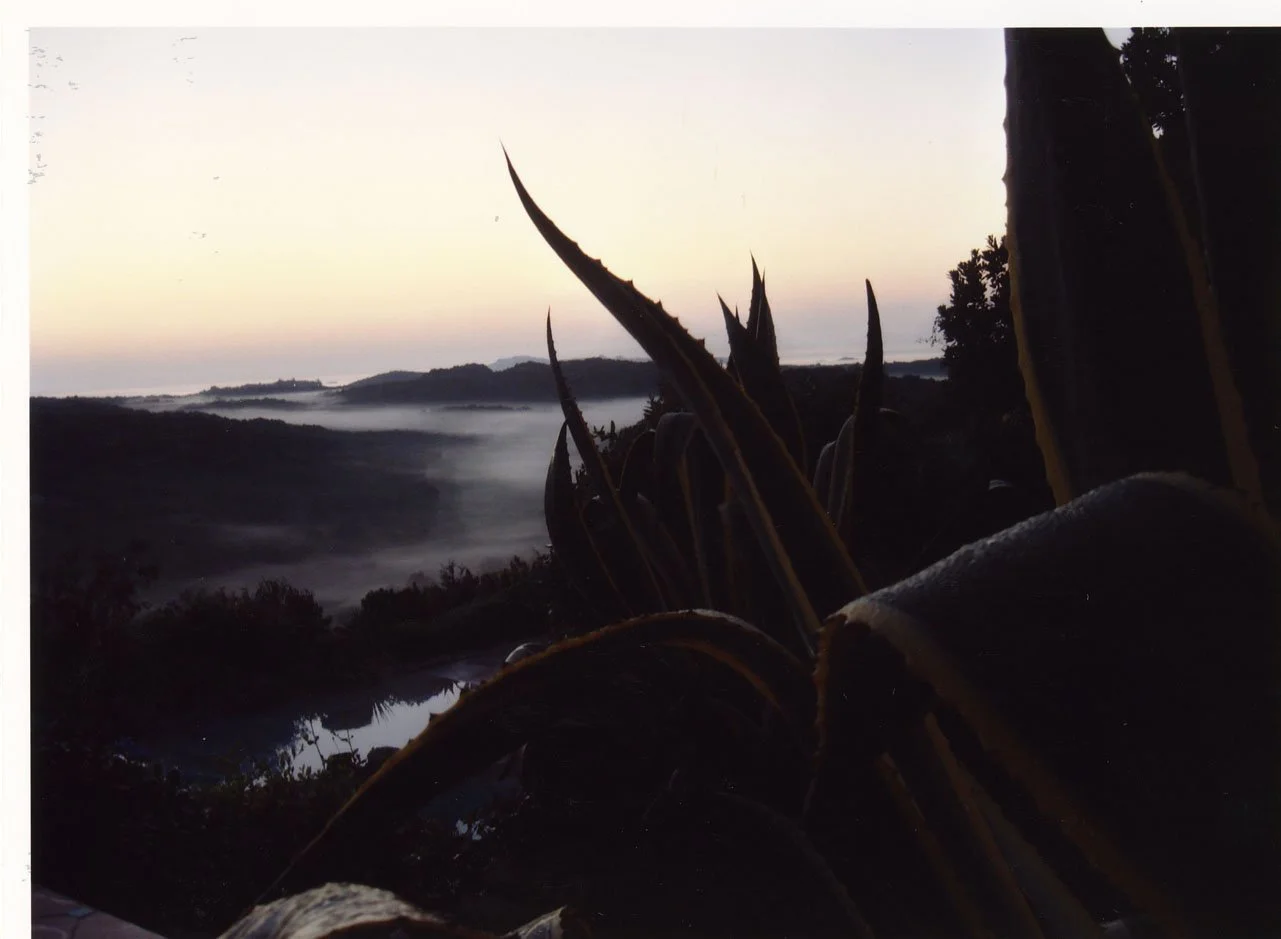 001_LANDSCHAFT_IL NIDO_024_PA.jpg