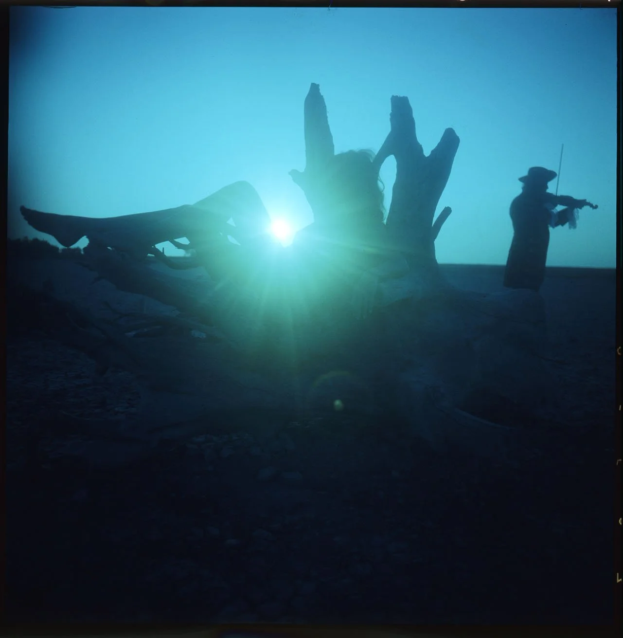 005_11.LANDSCAPE EDITORIAL _001_PA.jpg
