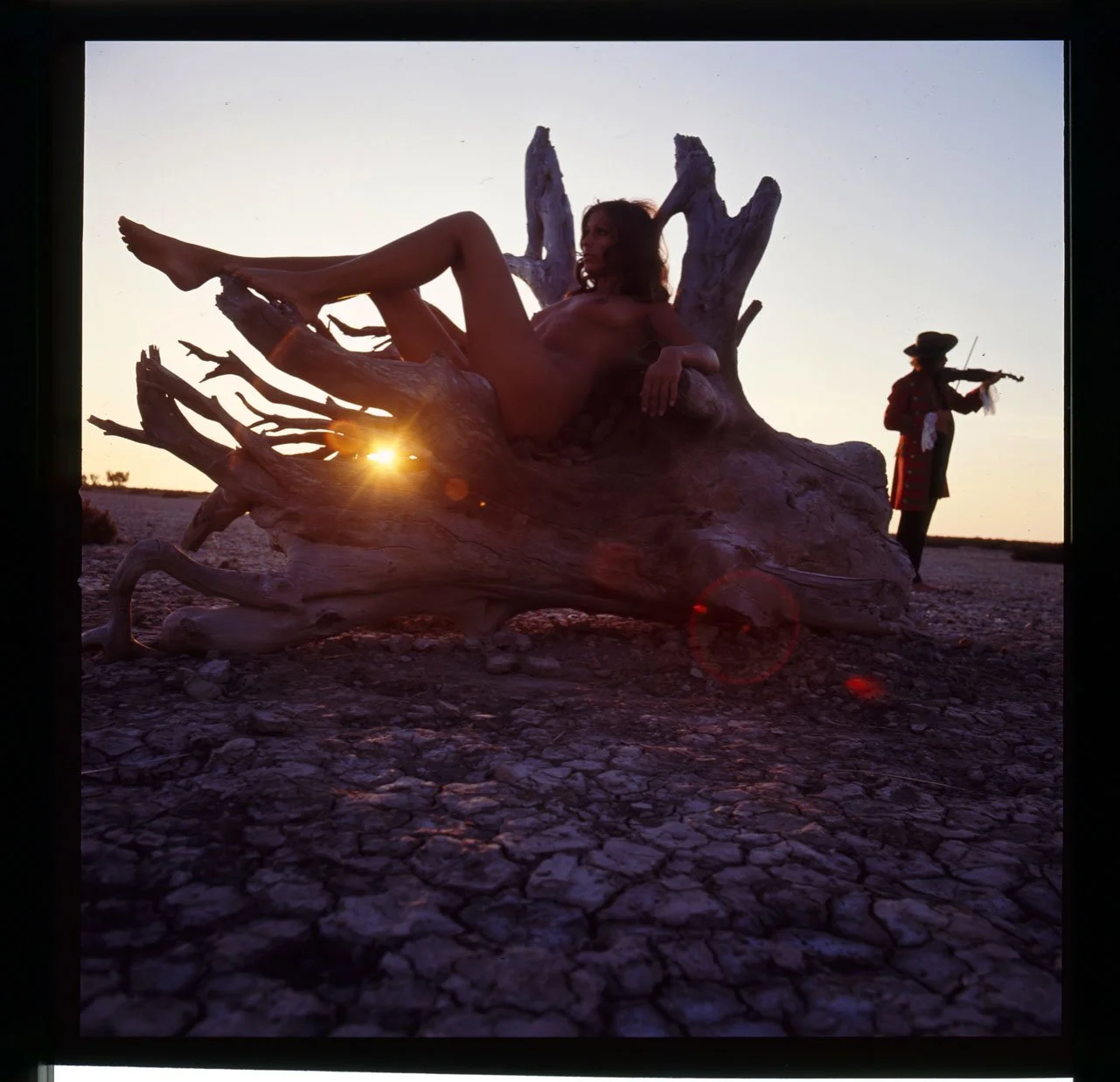 005_11.LANDSCAPE EDITORIAL _002_PA.jpg