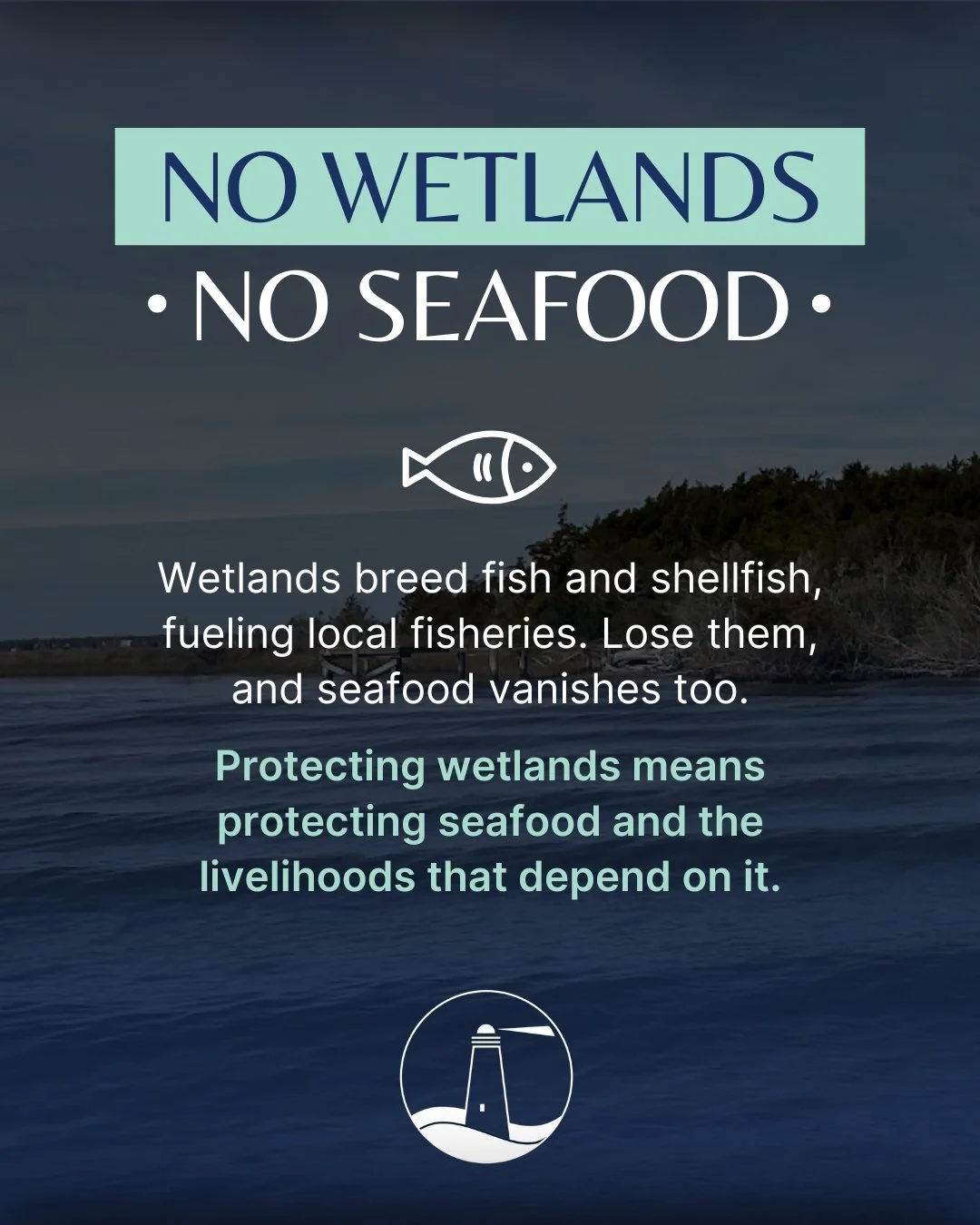 No wetlands, no seafood. 🐟 These coastal habitats are nurseries for fish and shellfish, supporting the seafood industry and local economies. But as wetlands vanish, marine life and livelihoods disappear too. Protecting wetlands isn&rsquo;t just abou