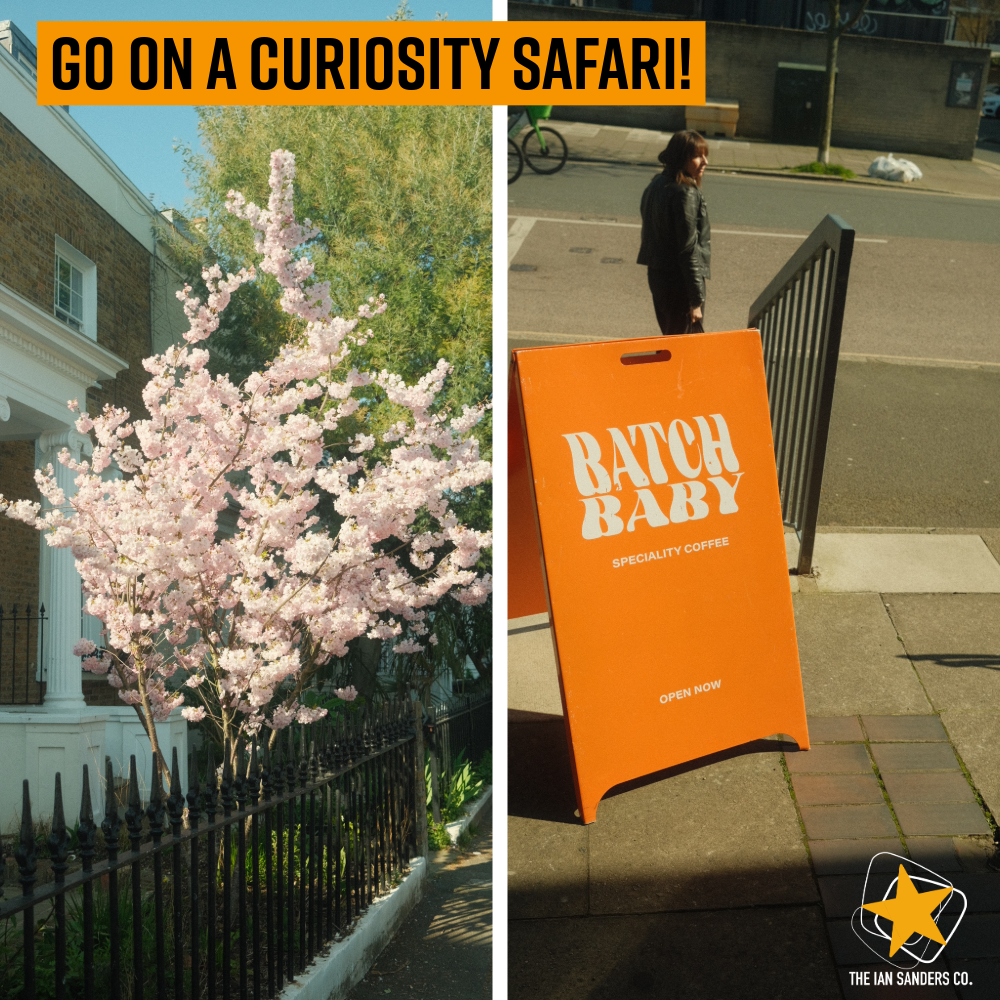 Think like an explorer: go on a Curiosity Safari