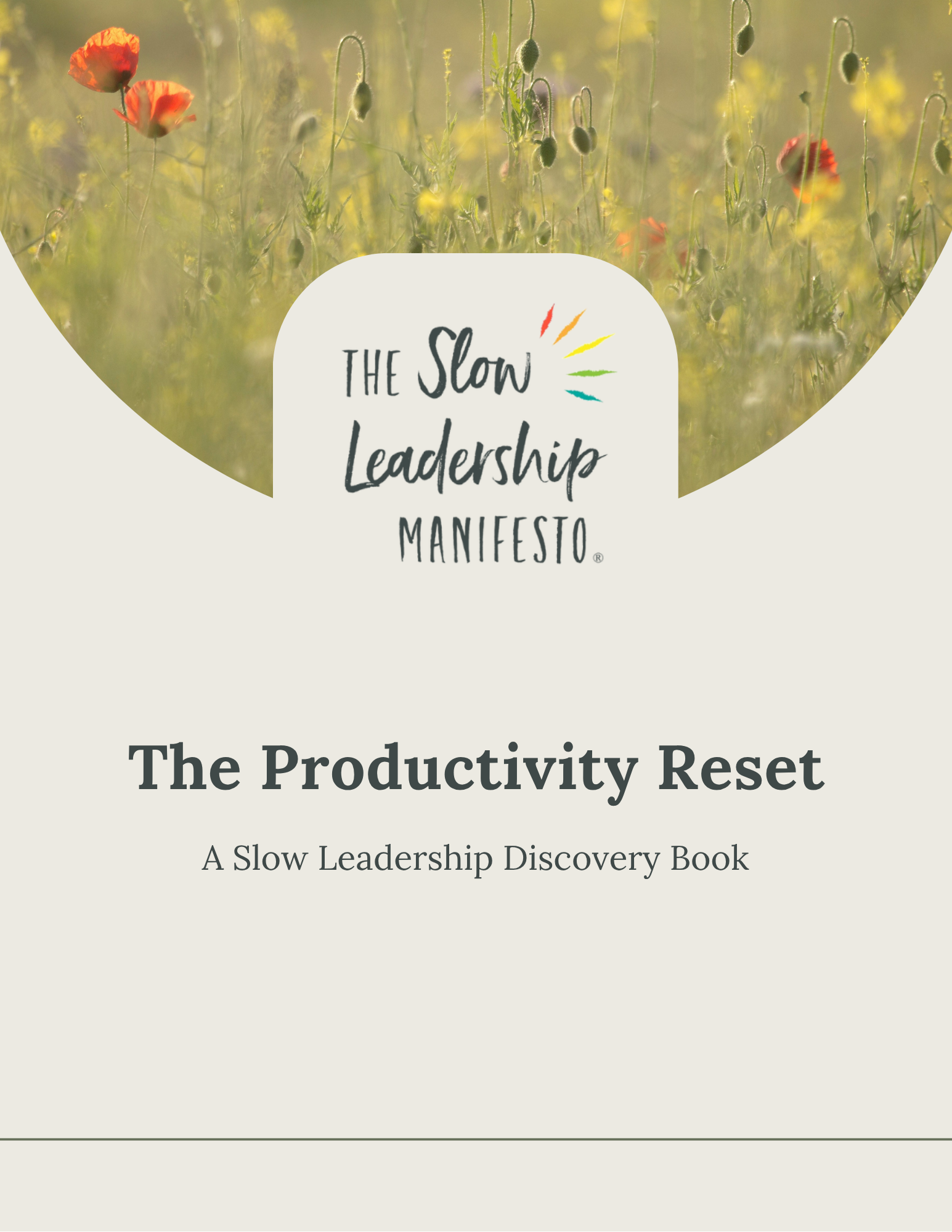 The Productivity Reset SLDB front cover.png