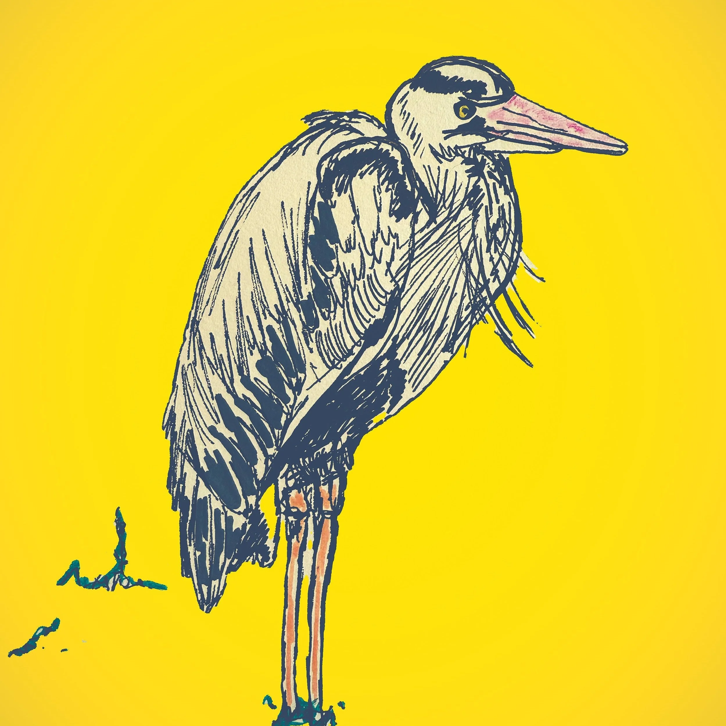 20250404_055402600_iOS+9.jpg