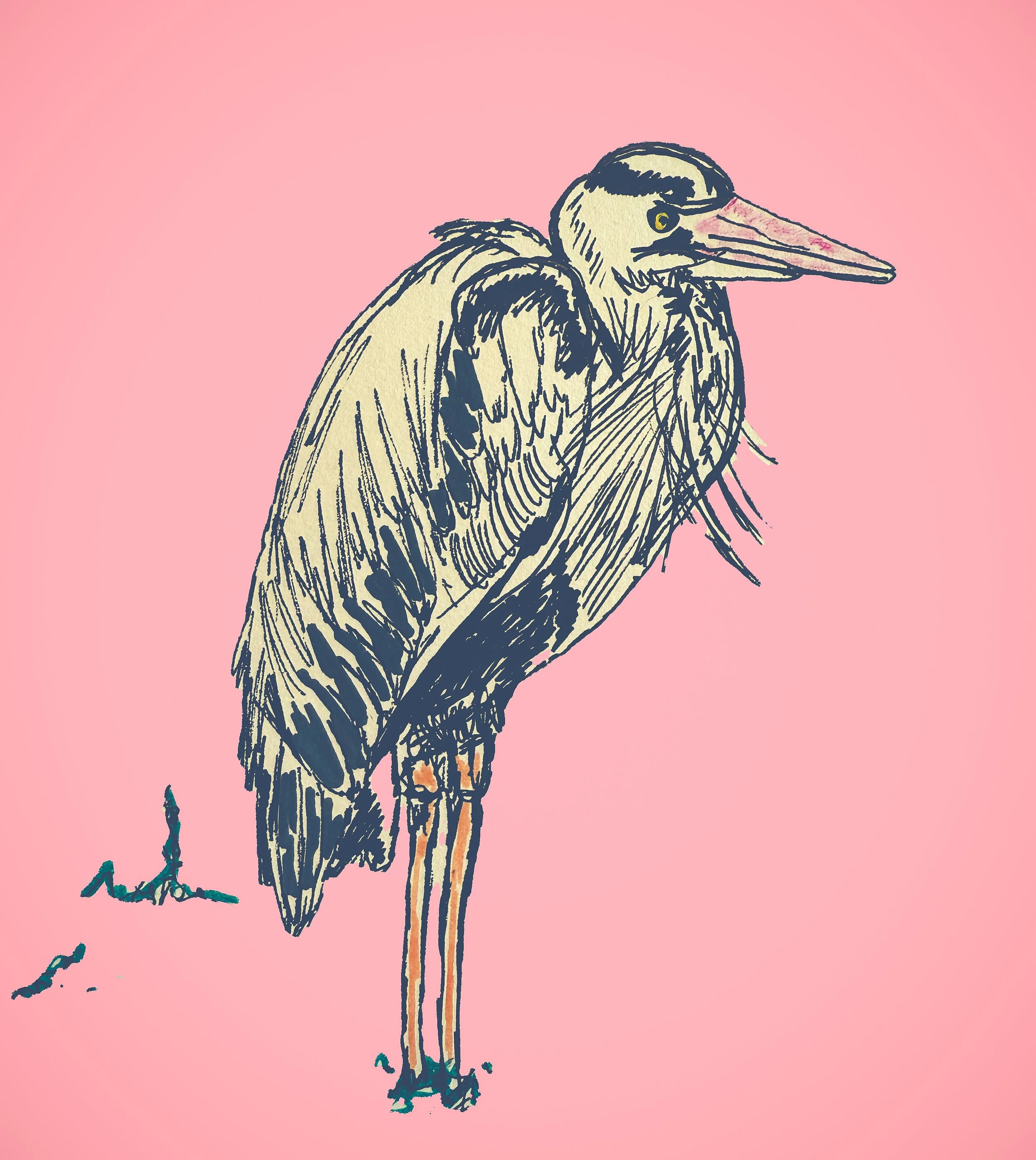 Heron Prints