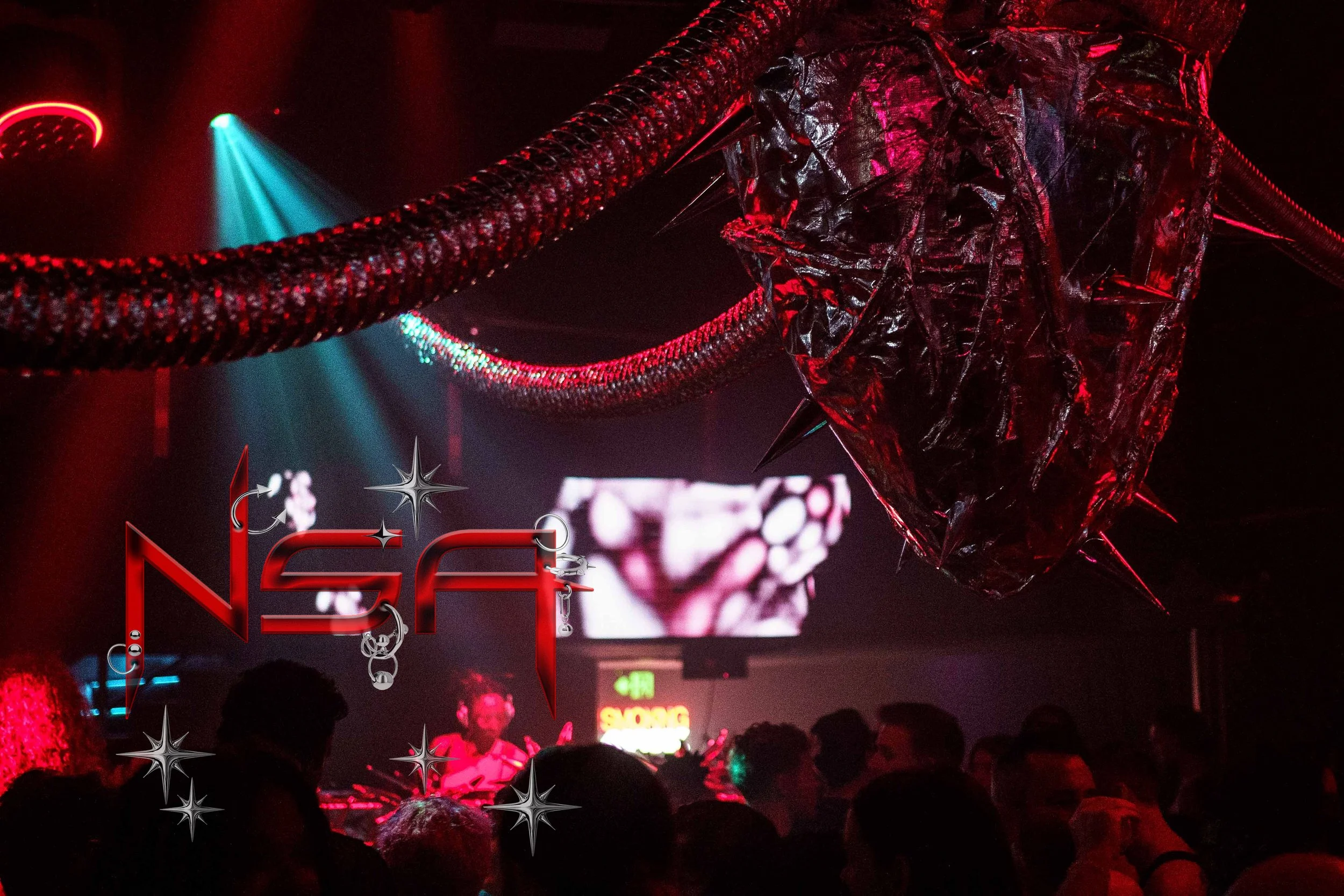 NSAPARTY_-18 copy.jpg