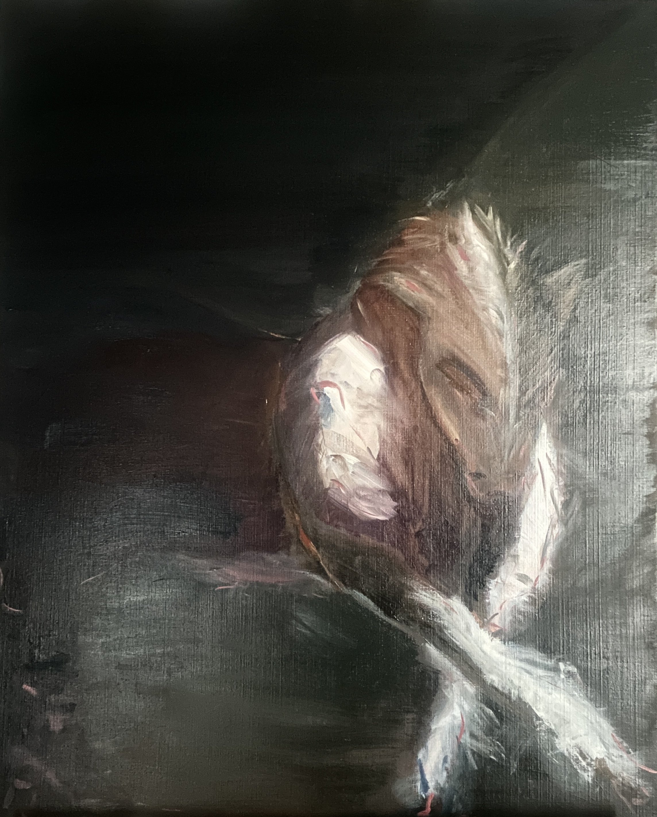 THE PROPHECY_92X73.jpg