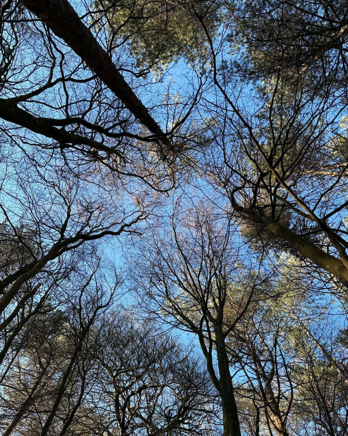 Take a moment to look up ⬆️ We spend so much time lost in our thoughts 💭Pause to see what&rsquo;s happening around you 👀