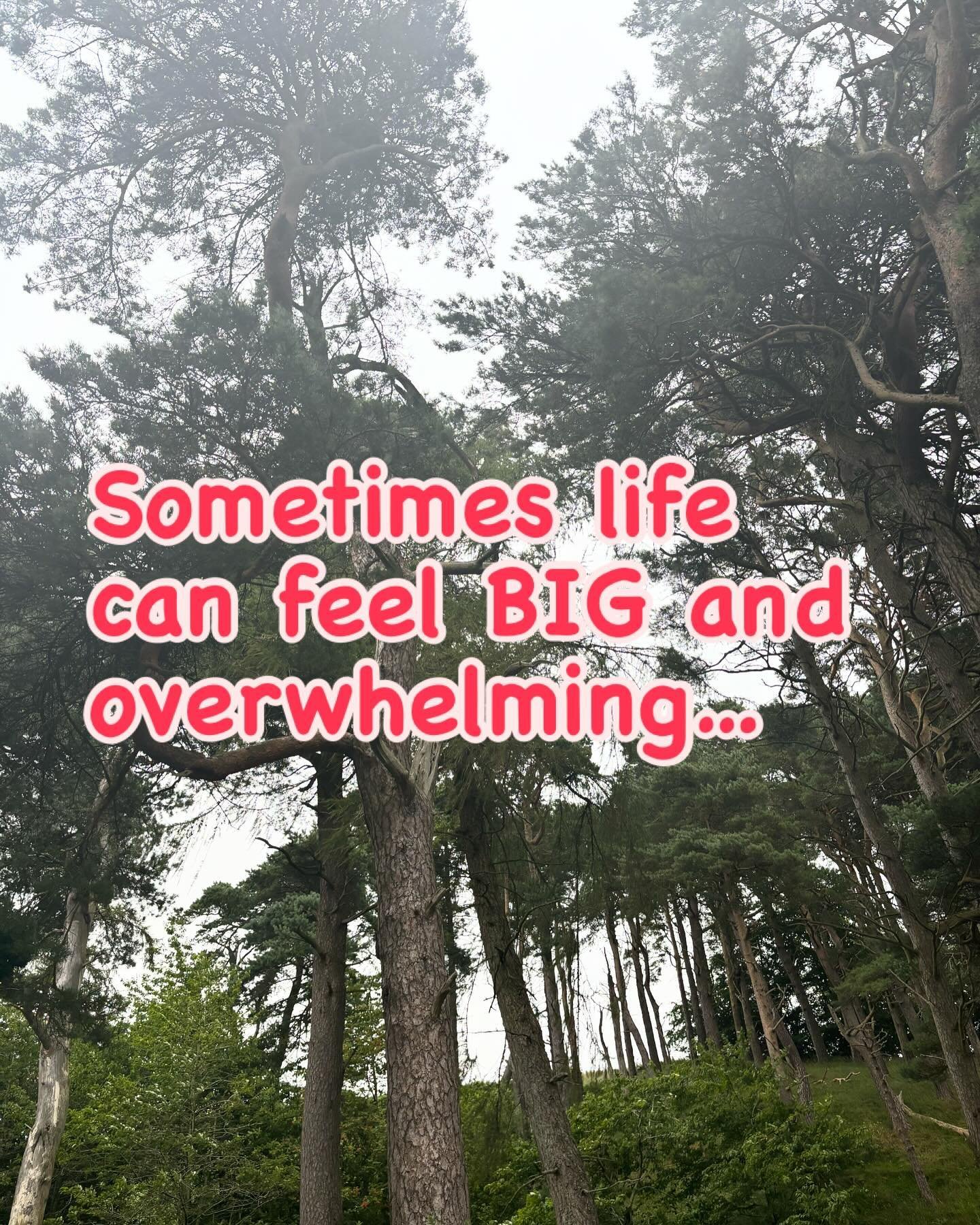 Life can get big and overwhelming sometimes. These feelings can happen in one sharp hit but at other times it can creep up on us without noticing until life feels really hard. Dr Sarah Psychology is here for you. #therapy #psychology #itsoknottobeoka