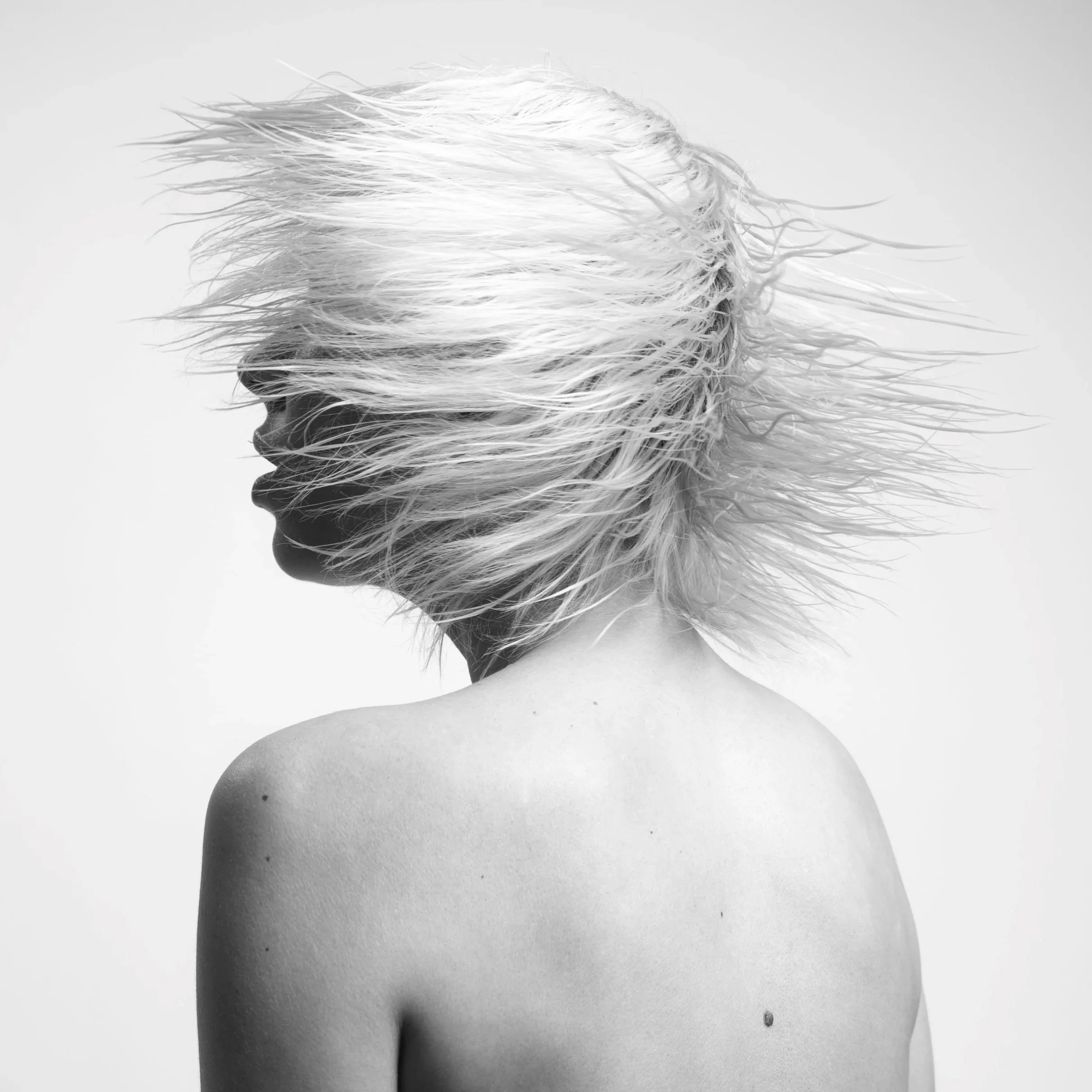 _DSF9770-Modifier.jpg