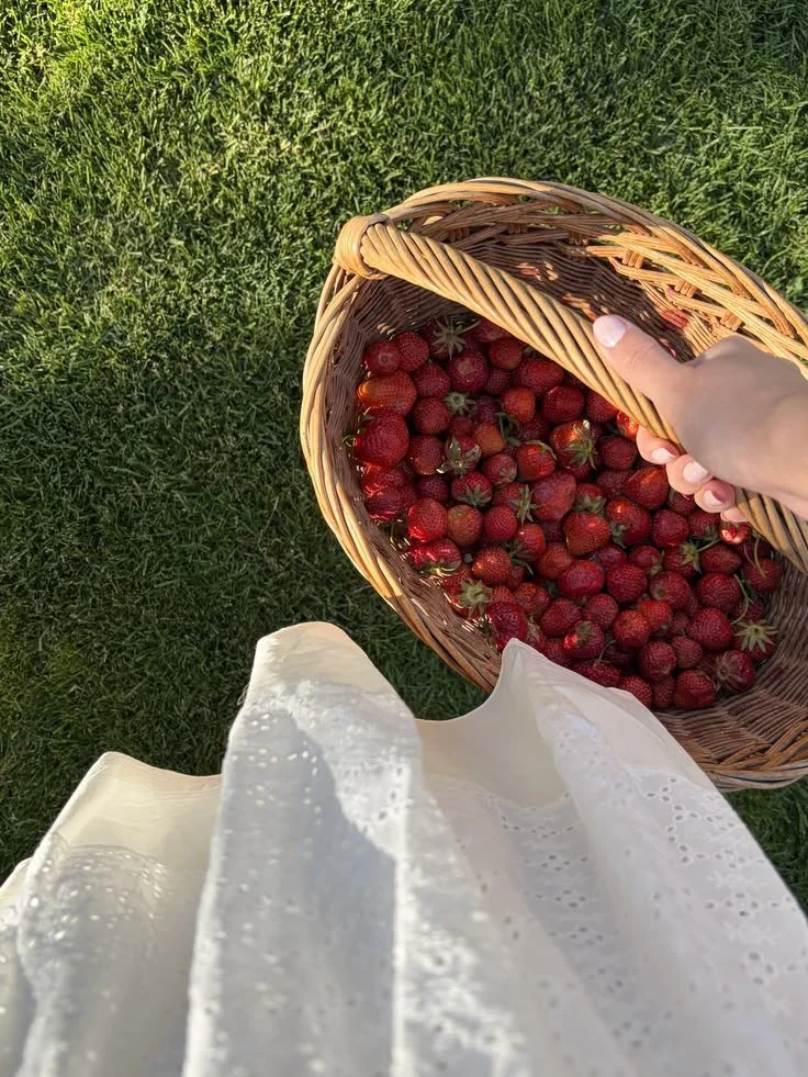 Strawberry Picking Daytrip!