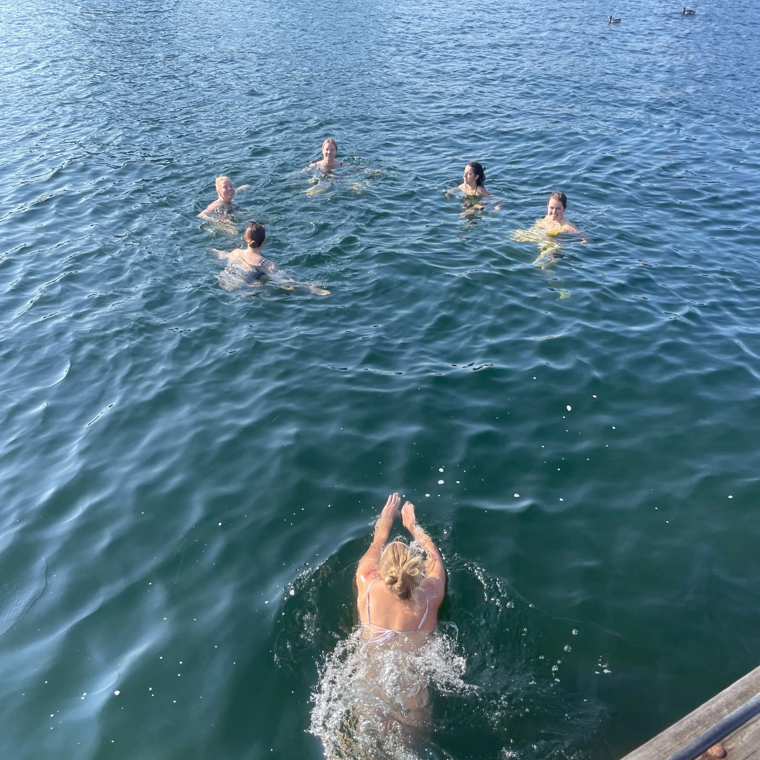 Summer Swim Club - La Banchina Edition!