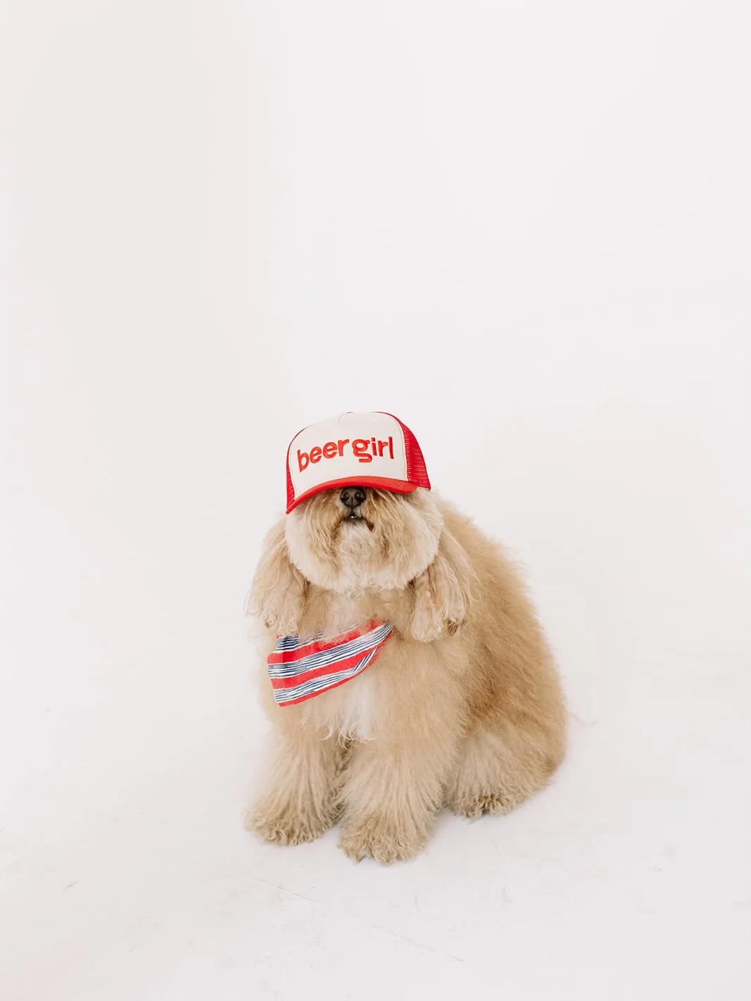 BEERGIRL ON SHARKTANK TONIGHT! 

I had the joy of working with the Beer Girl team a few months ago for some all film headshots and team photos, they&rsquo;re such a pleasure and truly the real deal.

Cannot wait to be cheering on the team tonight and