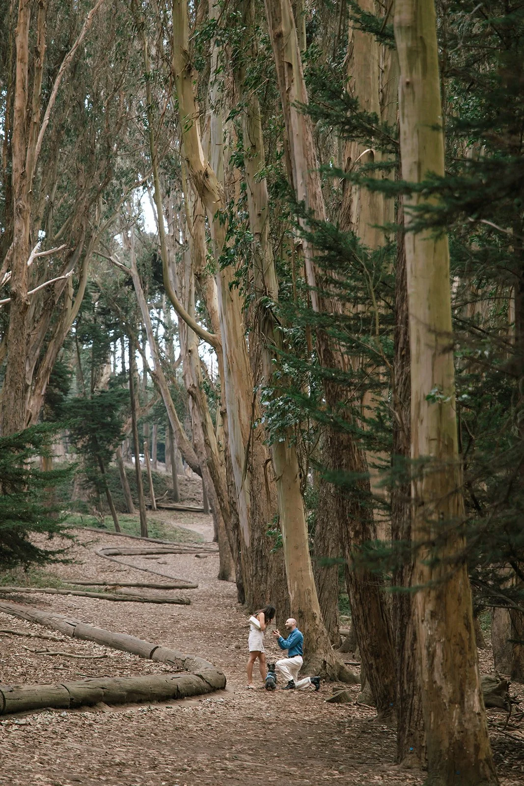 juliaschweissphoto_DC proposal-9-CT6A7074_websize (1).jpg