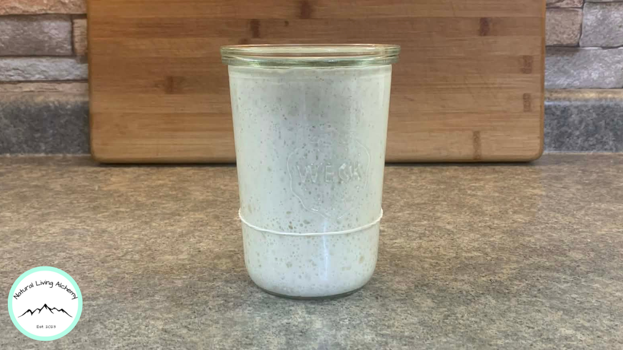 How to Make a Sourdough Starter from Scratch