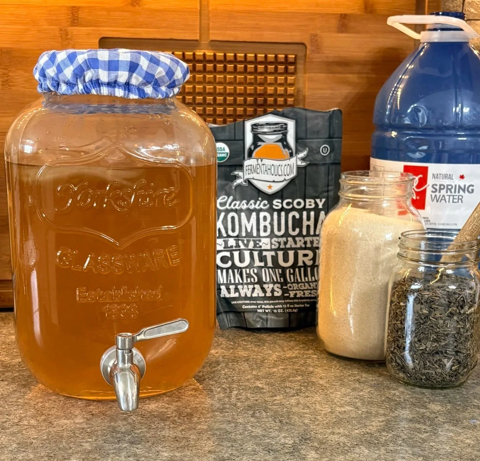 Kombucha From a SCOBY &amp; Starter Tea
