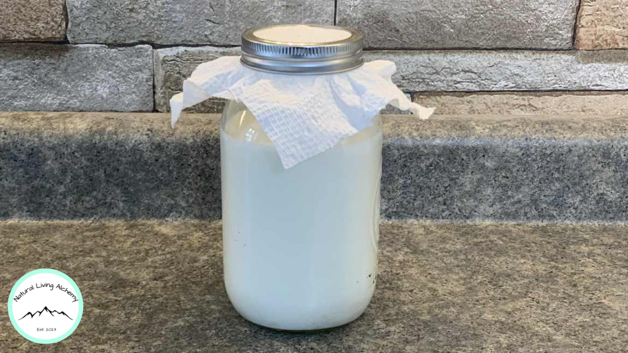 Guide to Defrosting Milk Kefir Grains — Natural Living Alchemy