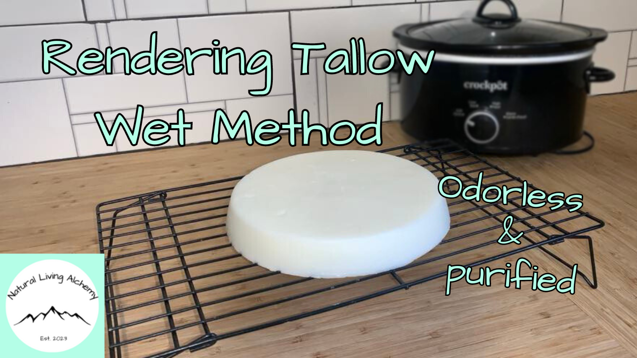 Tallow Rendering Process How to Render Tallow for Cooking & Skincare — Natural Living Alchemy