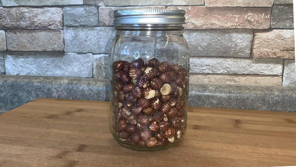 Lacto-Fermented Nuts — Natural Living Alchemy