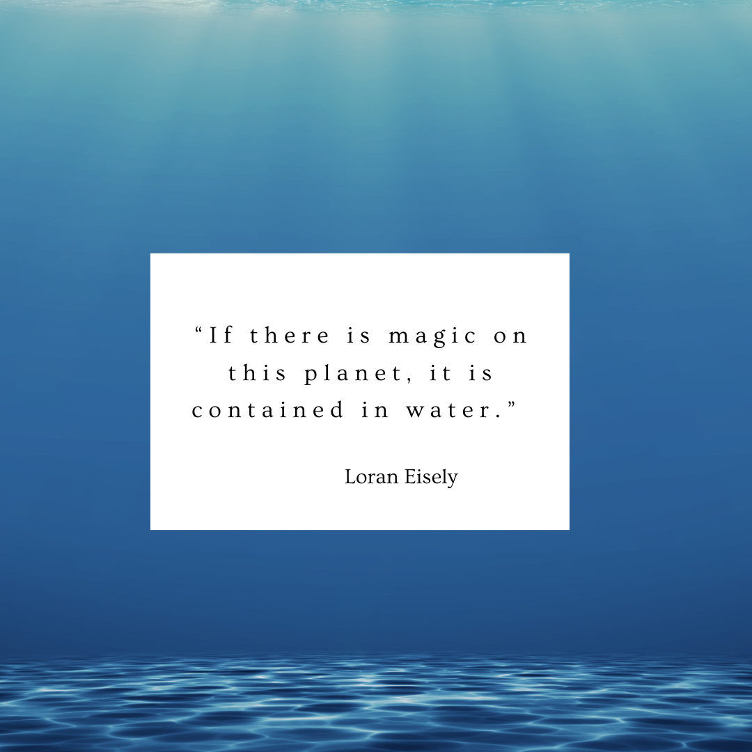 “If there is magic on this planet, it is contained in water.” - Loran Eisely