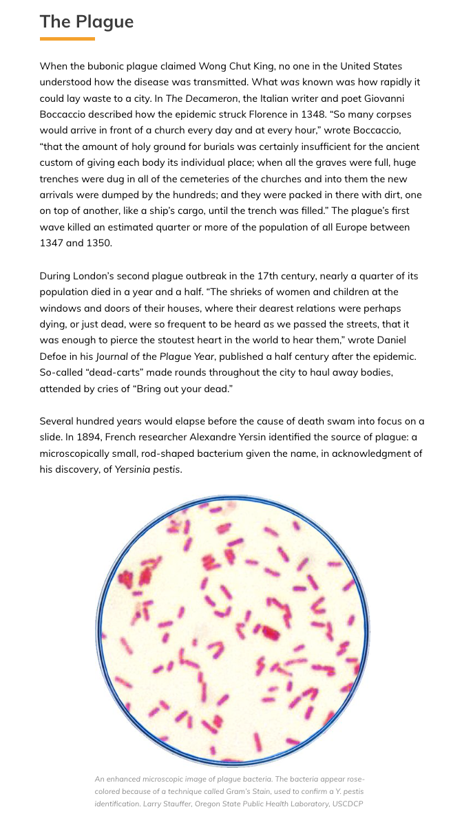 Text from Hunting the Plague with a petri dish illustration