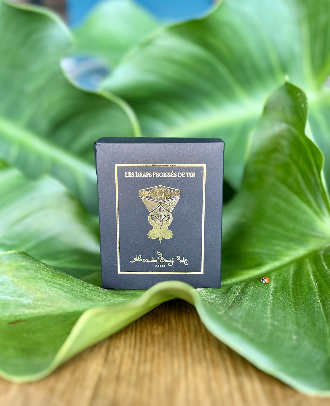 Explorez notre collection exclusive de bougies de créateurs, conçues avec passion et fabriquées en France pour apporter une touche d'élégance et de raffinement à votre intérieur. ADS CASA