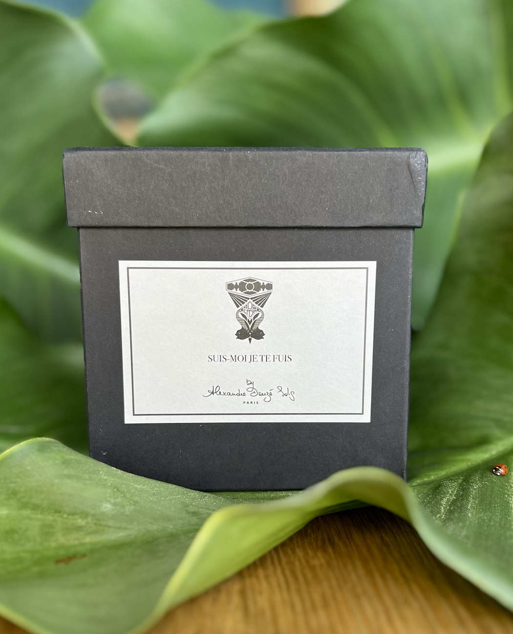 Explorez notre collection exclusive de bougies de créateurs, conçues avec passion et fabriquées en France pour apporter une touche d'élégance et de raffinement à votre intérieur. ADS CASA