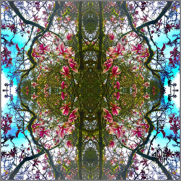 MAGNOLIA SOUS VERRE copie.jpg