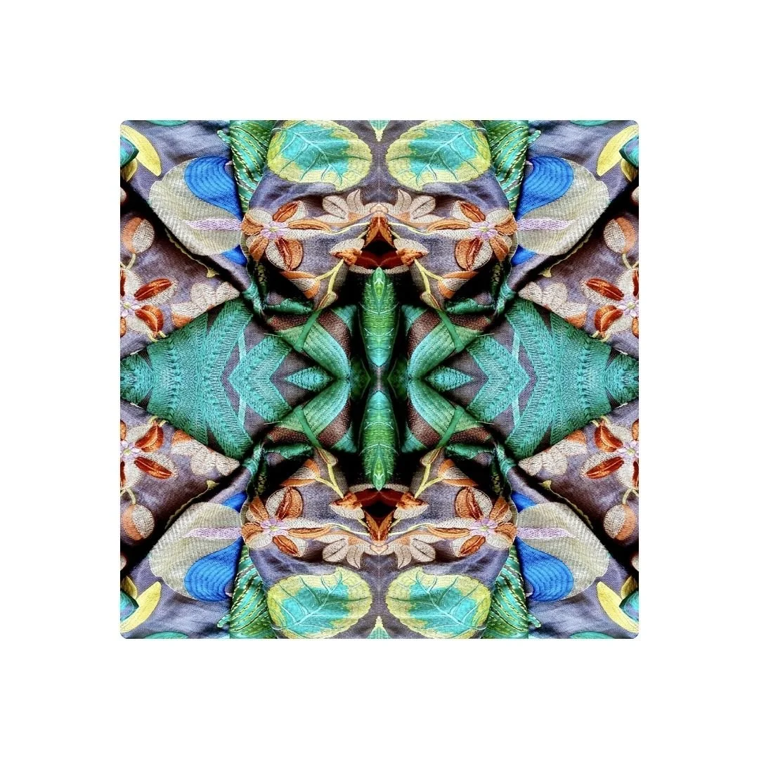 AMAZONICO - DESSOUS DE VERRE X6