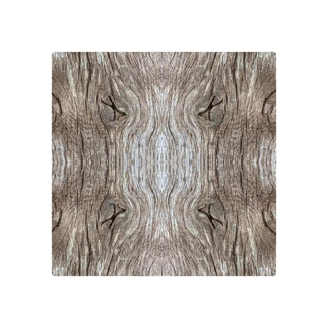 BOIS & NOEUDS - DESSOUS DE VERRE X6