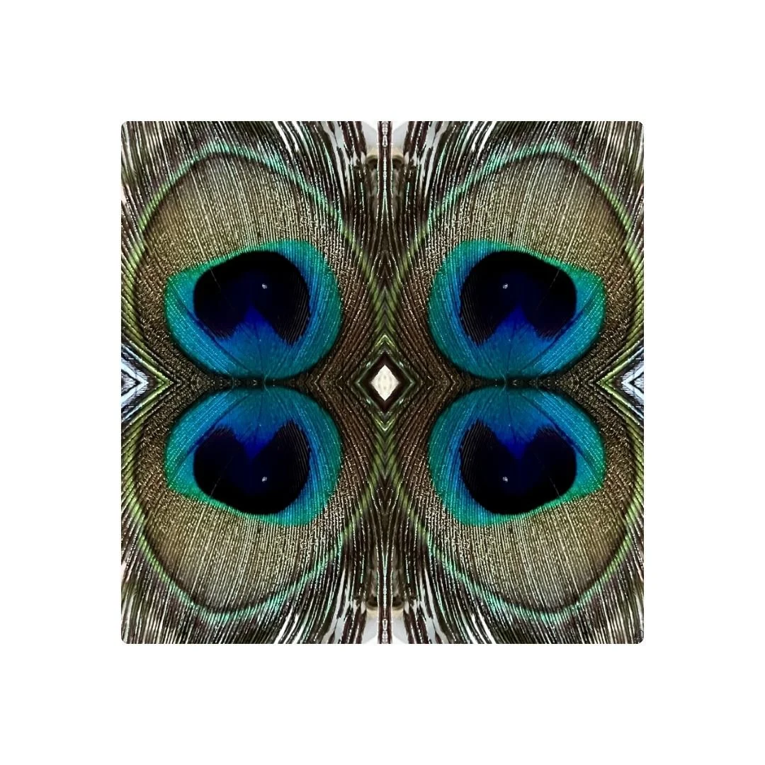 PAON - DESSOUS DE VERRE x6