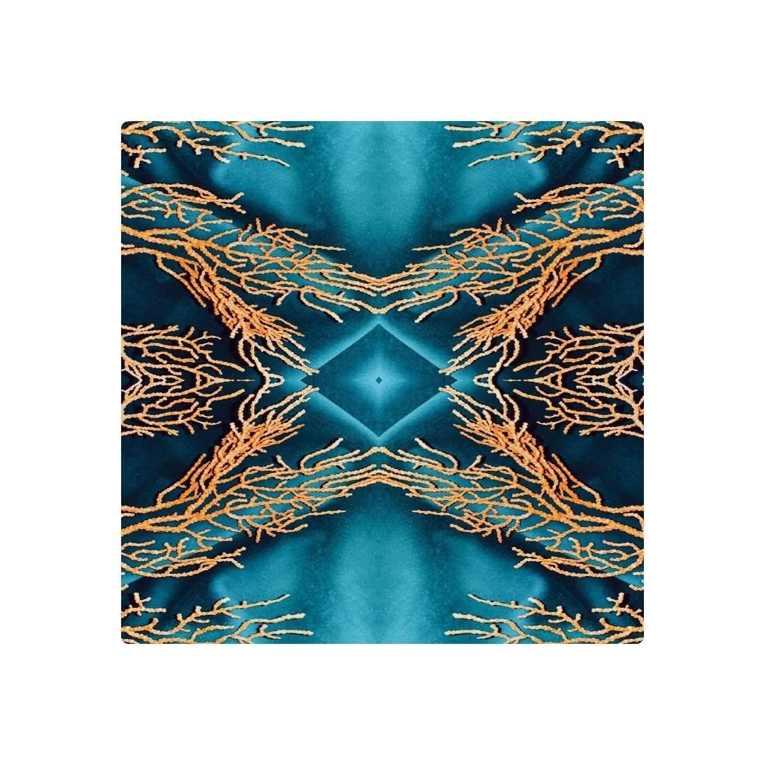 GORGONE - DESSOUS DE VERRE X6